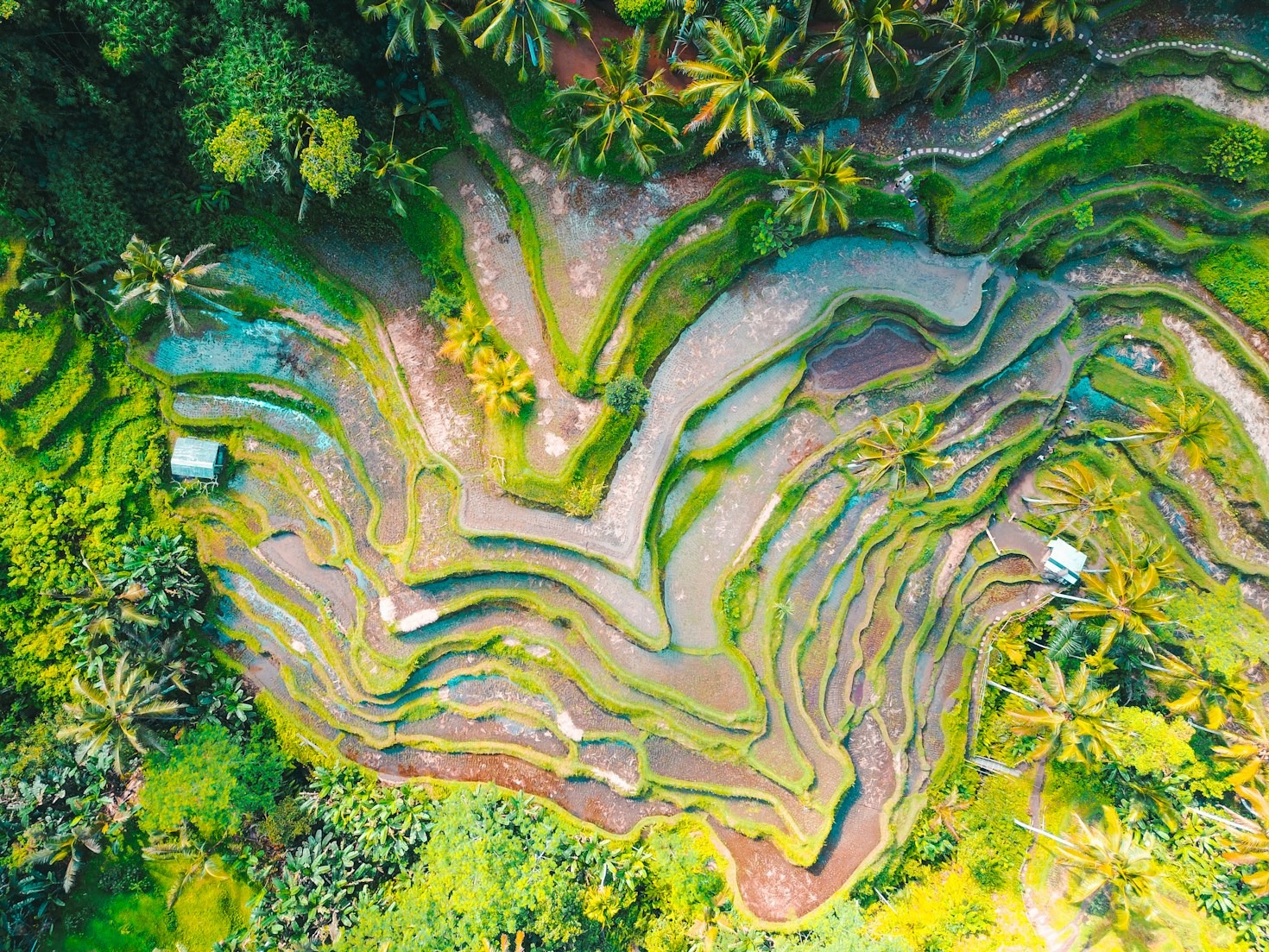 How to Travel Indonesia on a Budget: Tips and Tricks