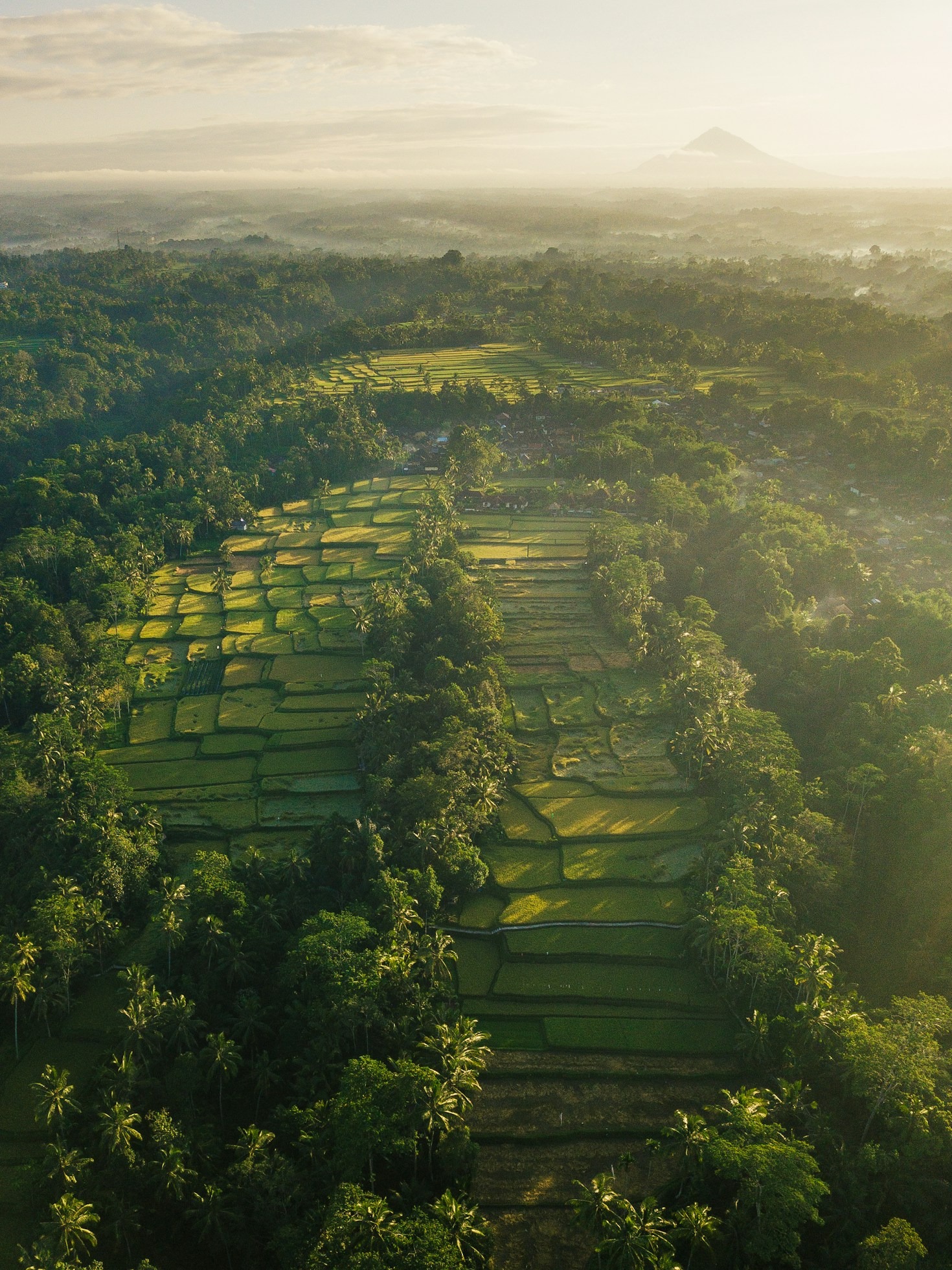 Local Activities to Try in Indonesia’s Secret Spots